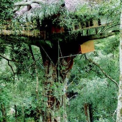 Green Magic Nature Resort, Wayanad 5